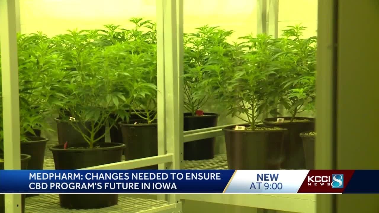 MedPharm Iowa concerned about future of state's patients, CBD legislation
