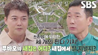 강철원 사육사, 푸바오의 새집 후보지 소개 (ft. 판다 기지)
