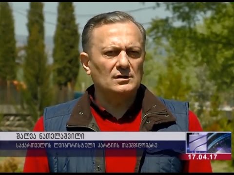 შალვა ნათელაშვილი სერგეი ლავროვის სოხუმში ვიზიტს აკრიტიკებს