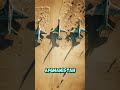 Built for World War III: The F‑22 Raptor’s Real Mission