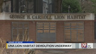 UNA Lion Habitat Demolition Underway, New Green Space to Come | Dec. 5, 2025 | News 19 at 4:30 p.m.
