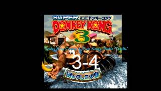 【DKC3】スーパードンキーコング3 3-4たきのぼりふたたび【ドンキー3】