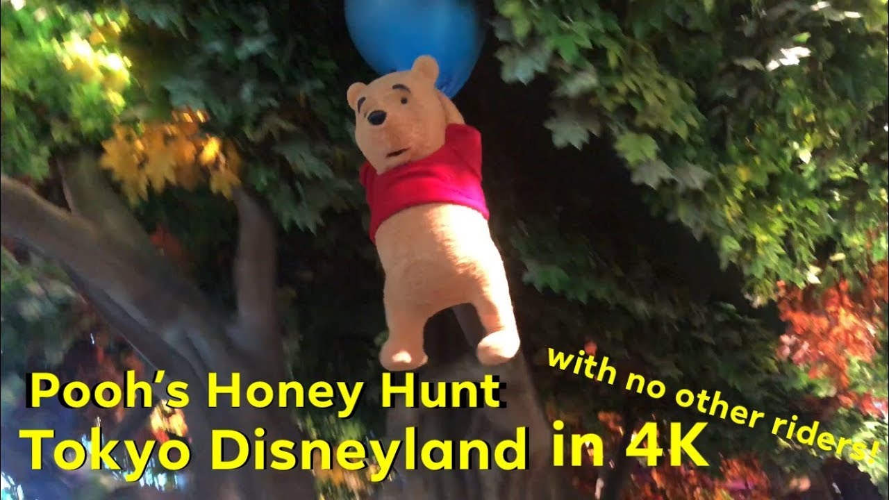 Pooh’s Honey Hunt in 4K Tokyo Disneyland with no other riders