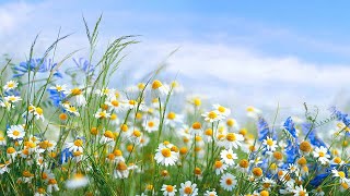 Summer-like temperatures return soon