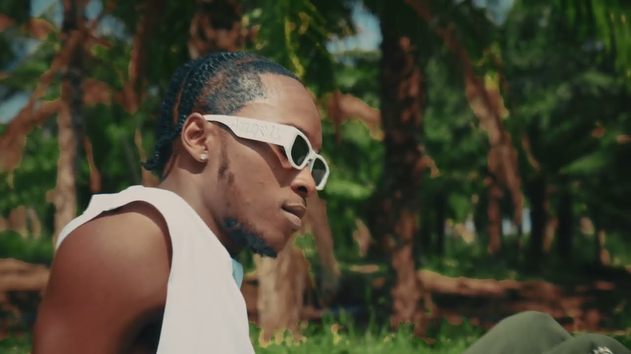 Clems flamesh Esili deja (music vidéo visualiser)