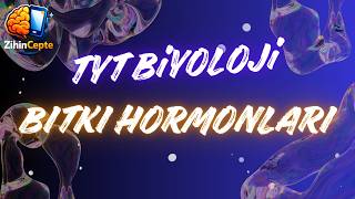 Bitki Hormonları Ezber Deği̇l Mantığıyla Öğren