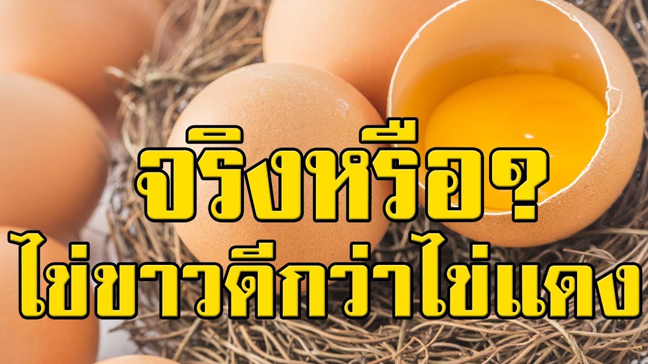 จริงหรือไม่ ที่ไข่ขาวมีประโยชน์กว่าไข่แดง มาดูข้อดีของแต่ละไข่กัน | สรุปข้อมูลที่ปรับปรุงใหม่ที่เกี่ยวข้องกับไข่แดง มี สาร อาหาร อะไร บ้าง