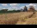 Долгожданная уборка пшеницы на огороде#Sampo Rosenlew 500