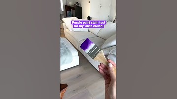 Staining my white couch with PURPLE paint!! Testing if it’s really stain proof! 😱 #shorts