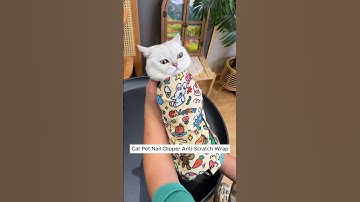 No More Struggles: How to Trim Your Cat