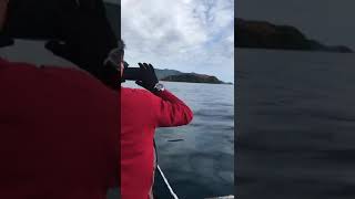 camp pulau laburoko.(kec.wolo)(1)