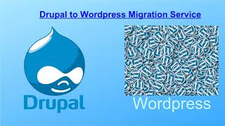 Drupal to Wordpress Migration Service