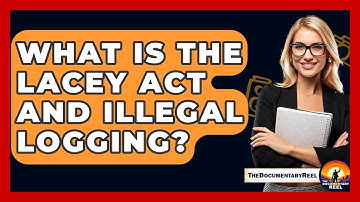 What Is The Lacey Act And Illegal Logging? - The Documentary Reel