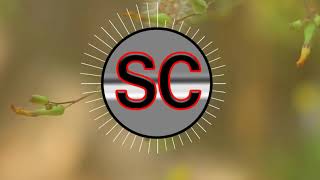 Backsound Beat Music Ceria Pagi Hari No Copyright