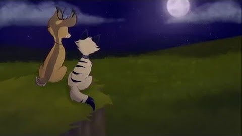 Infinity OC MAP - Parts 30/31