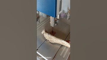 Scheppach Basa 1 Şerit testere Kemik kesimi #scheppach #basa1 #bandsaw #şerittestere  #kemikkesimi