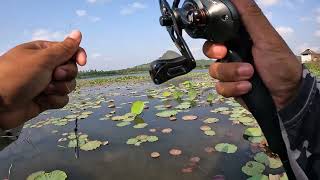 นอนไม่หลับแน่เลยคืนนี้ #น้าหนุ่มfisherman #fishing