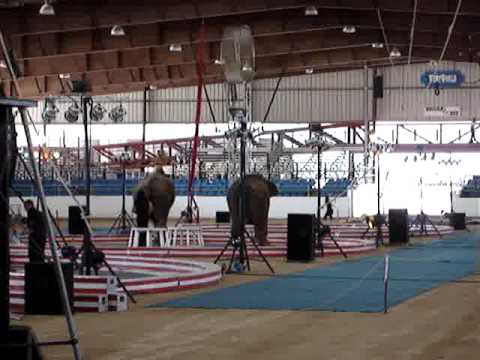 JordanWorldCircus Scottsdale2009 041