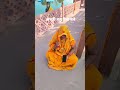 bahut ban gai hun acchi Bahu kaise banaen.  #viral #trending #shorts #non  #sadhanak,s