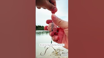 Bộ Lưỡi Câu Lăng Xê Ba Chấu Thế Hệ Mới #fishing #xuhuong #cauca