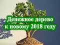 Денежное дерево к новому 2018 году