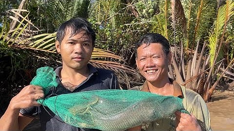 Bắt Cua Biển - Tôm Càng Xanh - cá Quát . cá Ngát ăn mừng U23 Việt Nam Chiến Thắng | Cldv #371