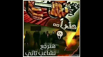 مفيش قوانين بتحكمني دماغي لوحدها جمهوريه رائد عادل 