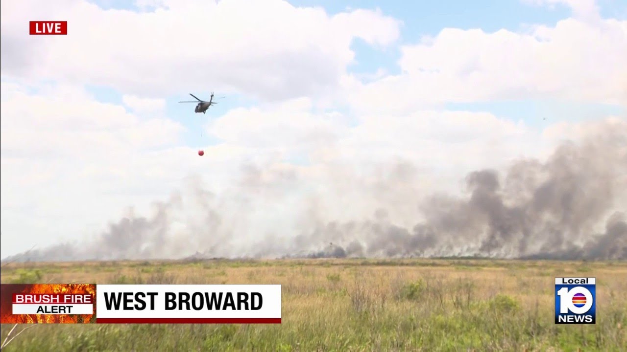 Wild land fire burns more than 6,500 acres in western Broward - YouTube