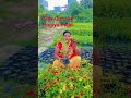 Shiv Guruke bagiya #viralmein short#💐🌹🌺 video vira#l Sarita Sinha Patna
