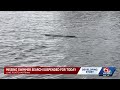 Missing swimmer search suspended for Monday