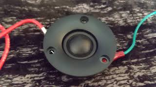 Wavecor 22 Mm Tweeter Full Range Test