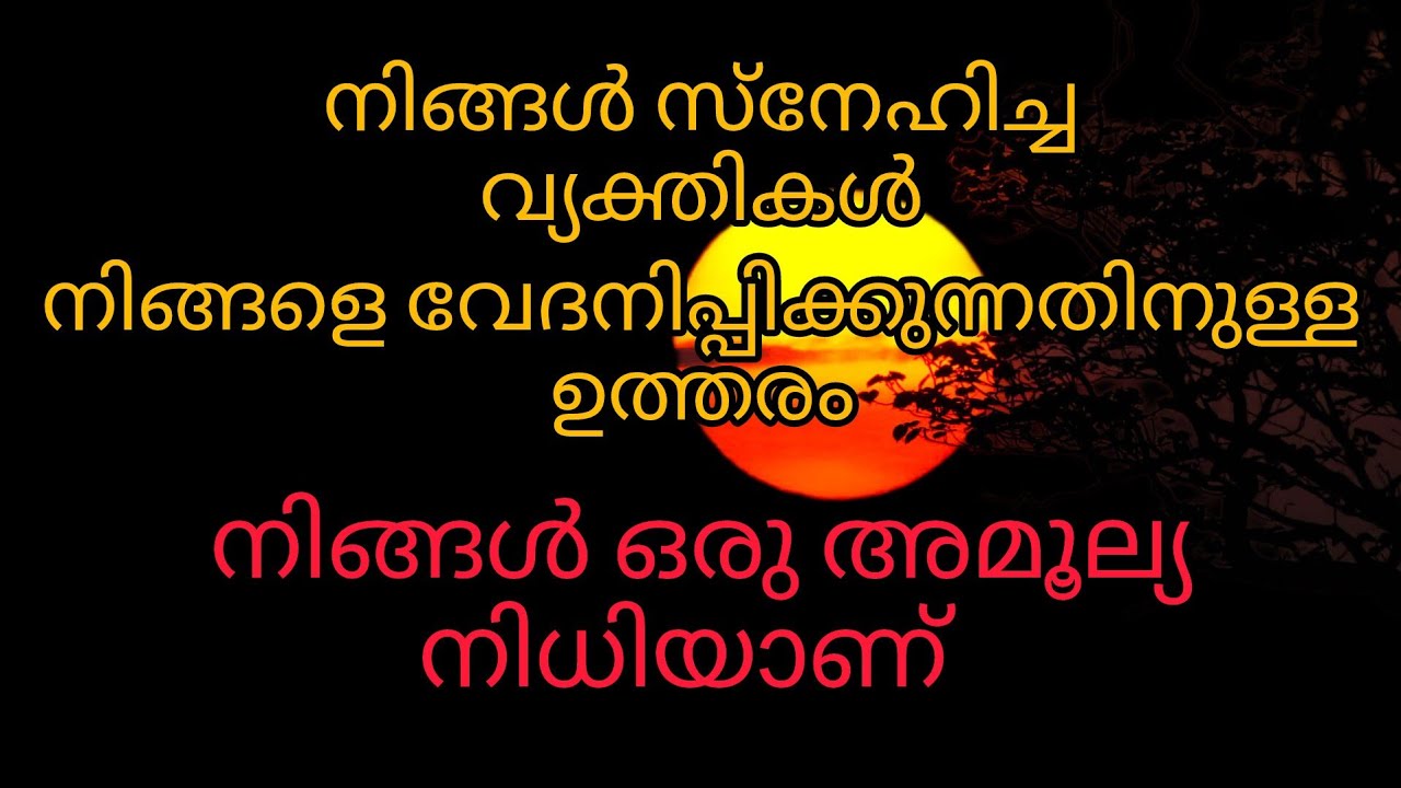നിങ്ങൾ സ്നേഹിക്കുന്ന വ്യക്തികൾ എന്തുകൊണ്ട് നിങ്ങളെ വേദനിപ്പിക്കുന്നു#tarot