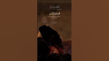رعد الكردي # سورة فصلت #وقالوا لجولدهم  # آيات قرانية # اكسبلور فولو # explore # اطمئن # مؤثر # غزة