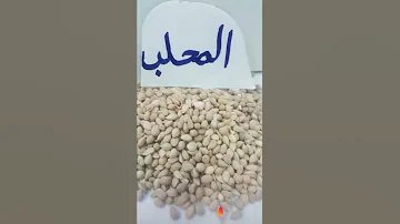 فوائد المحلب 