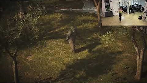 Ballerina Markerless Motion Capture with 4 iPhones