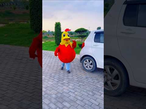 arayy ya kasa murga hyyyyy