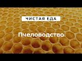 Пчеловодство \ Производство органического меда \ Чистая еда