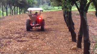 Pendulum Spreader. Stainless Steel single side tail wagger.