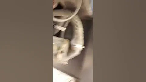 cummins N14