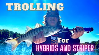 Trolling for Hybrids and Striper on Lake Norman. ( Trolling Umbrella Rigs with Planer Boards) by MERCER OUTDOORS 4,662 views 2 years ago 13 minutes, 54 seconds