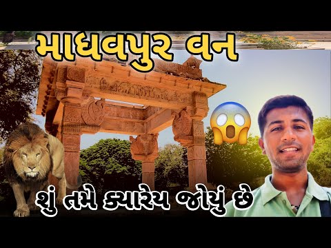 માધવપુર વનમાં છુપાયેલો ઈતિહાસ 😱 | Amazing Place in Gujarat #Porbandar 