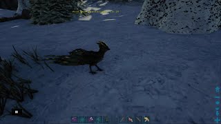 ARK: Survival Evolved Day 266 on Crystal Isles, Hunting for a Featherlight. ARK: Survival Evolved Day 266 on Crystal Isles, Hunting for a Featherlight.