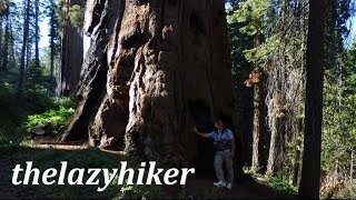 Sequoias!  The General Grant Tree!  Grant Loop Hike in Kings Canyon National Park