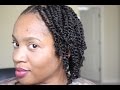 How To: Moisturize Fine, Low Porosity Natural Hair + Protective Styling | Juicy Twists and Twistout