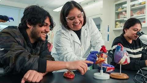 UB and Bridgeport Public Schools Announce “Bridgeport’s Brightest” Scholarship for Local Graduates