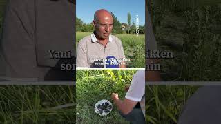 Yarım Kalan Sevdanın Meyvesi Aronyanın Üretimini Ülkeye Getirdi