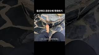 #응봉산 #자연용출수 #온천 #온천원탕 #등산 #족탕 #족욕 #미선하이킹 #미선Hiking