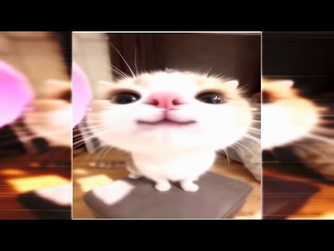 𝙈𝙊𝙉𝙏𝘼𝙂𝙀𝙈 𝙐𝙉𝙍𝙀𝙇𝙀𝘼𝙎𝙀𝘿 𝙀𝙓𝙏𝙀𝙉𝘿𝙀𝘿