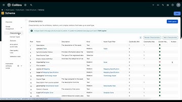 Collibra characteristics assignment for non Ultimate edition