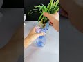 Making hydroponic flower pots from beverage bottles#EmptyBottles #flowerpots #handmadeplanter